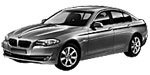 BMW F10 C2295 Fault Code